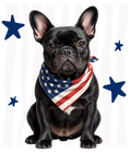 Randomness 321 - Black Frenchie Front Usa
