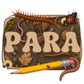 Randomness 1286 - Para Bugs