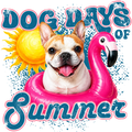 Randomness 1607 - Tan White Frenchie Dog Days