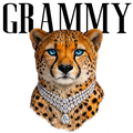 Randomness 766 - Grammy Cheetah