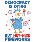 4th of July 503 - Or 31052025 Vtn 4th Of July Silly Goose Democracy Is Dying