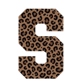 Randomness 1466 - S Cheetah