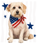 Randomness 1636 - Terrier Front Usa
