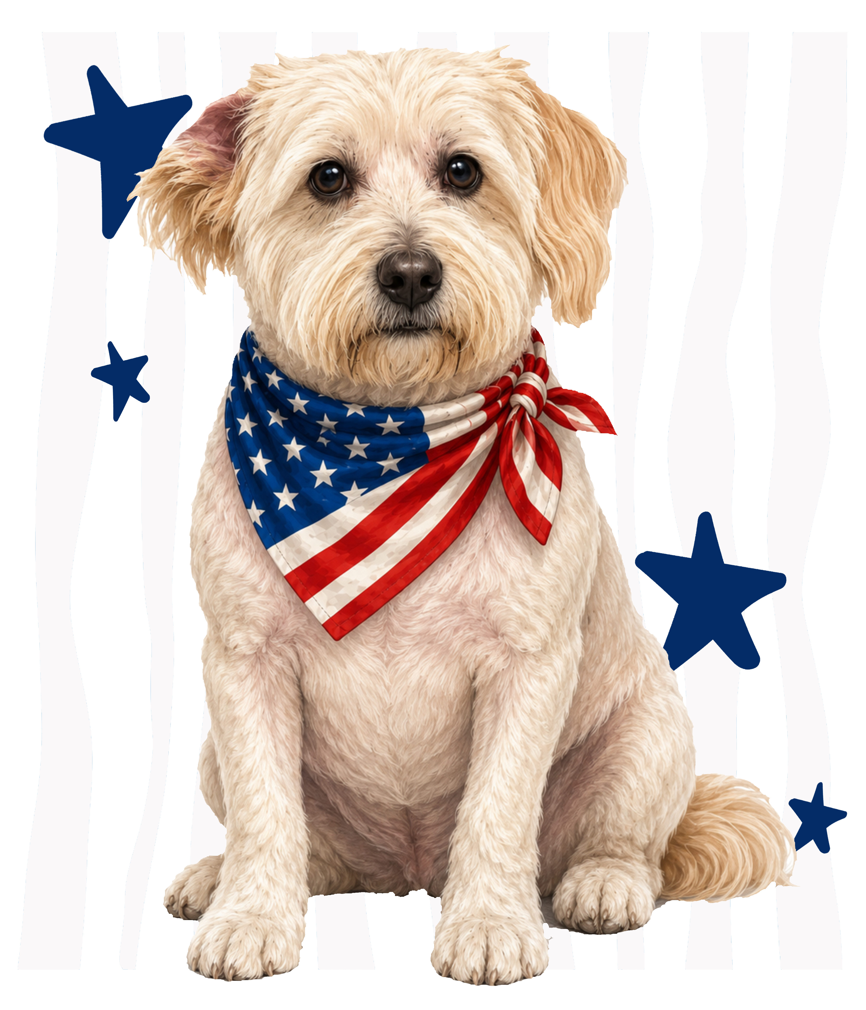 Randomness 1636 - Terrier Front Usa