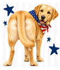 Randomness 955 - Lab Usa Back