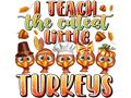 Teacher 380 - Iteachthecutestlittleturkeys