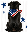 Randomness 324 - Black Pug Back