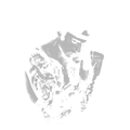 Randomness 308 - Bieberhalftone