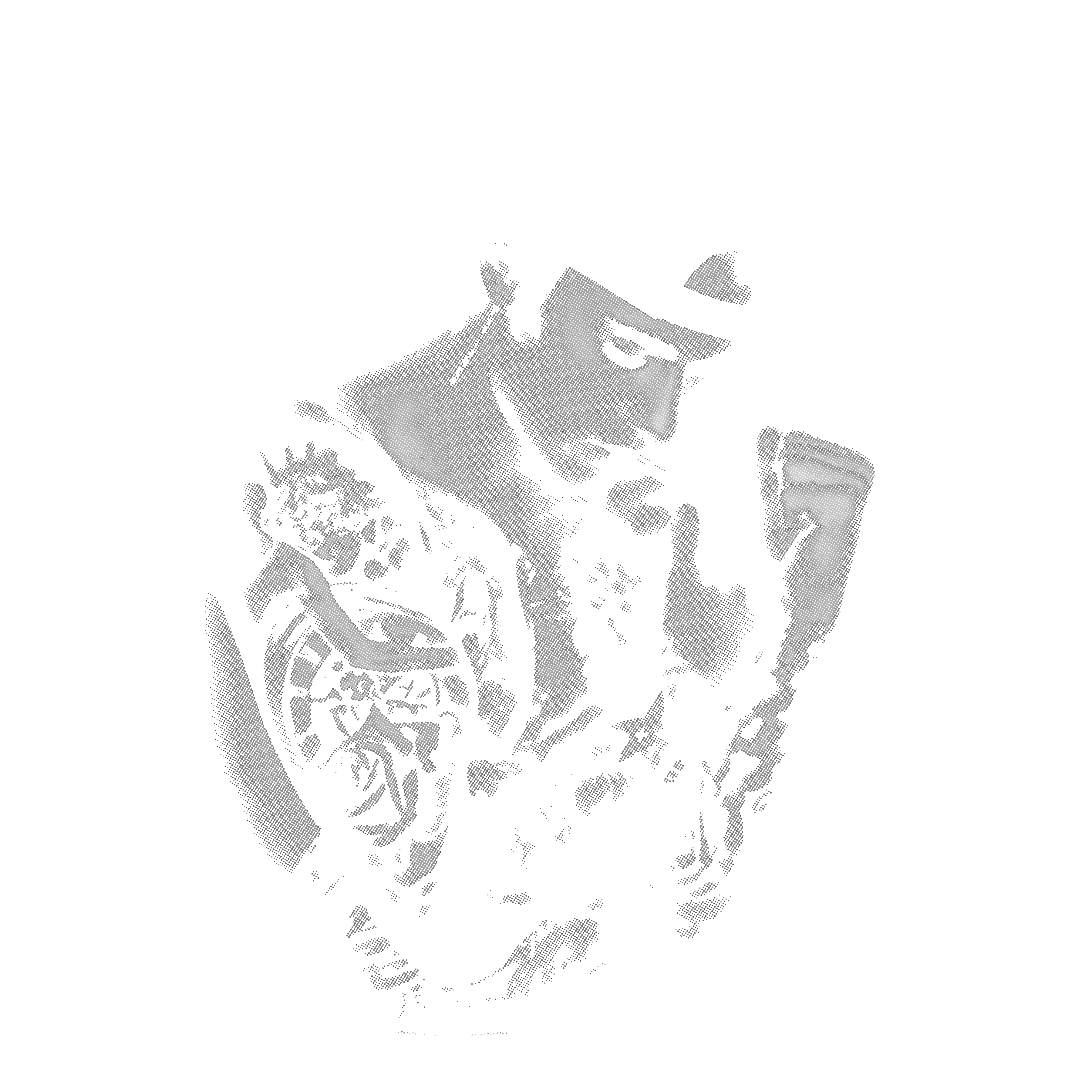 Randomness 308 - Bieberhalftone