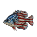 Randomness 493 - Crappie Front