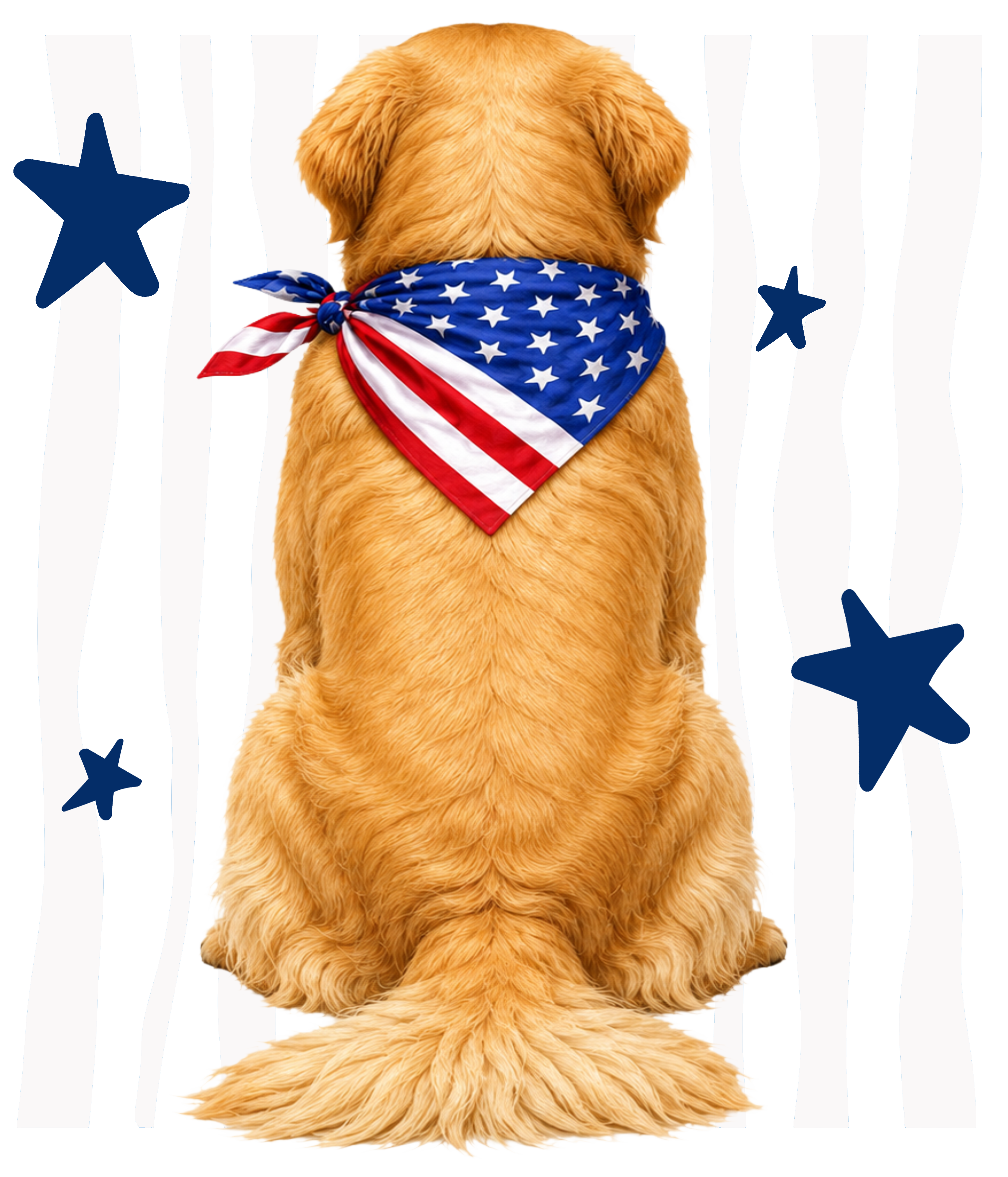 Randomness 744 - Golden Retriever Back Usa
