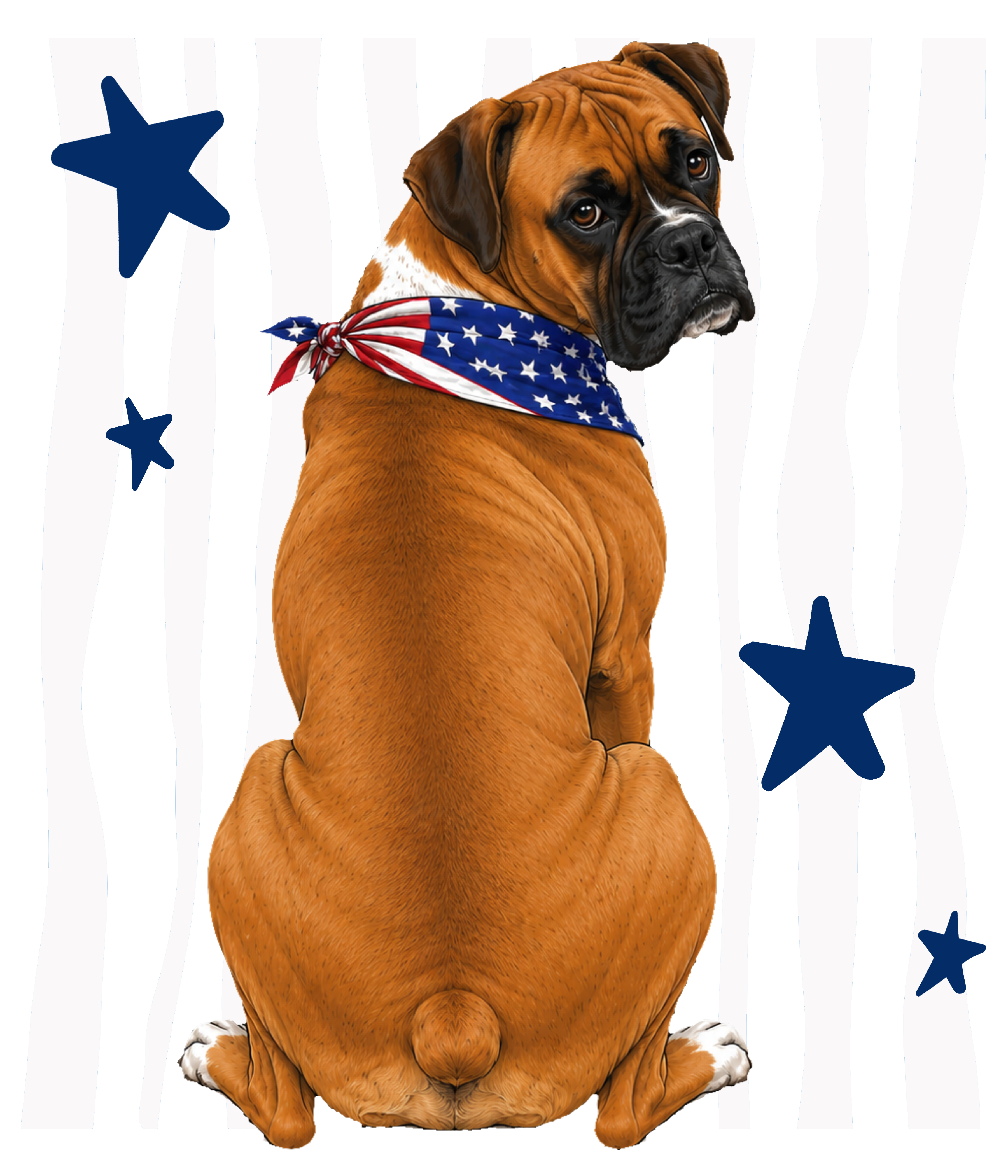 Randomness 376 - Boxer Back Usa