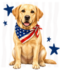 Randomness 956 - Lab Usa Front