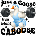 Randomness 746 - Goose Caboose