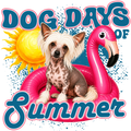 Randomness 946 - King Charles Summer