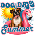 Randomness 560 - Dog Days Boxer
