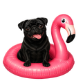 Randomness 325 - Black Pug Float