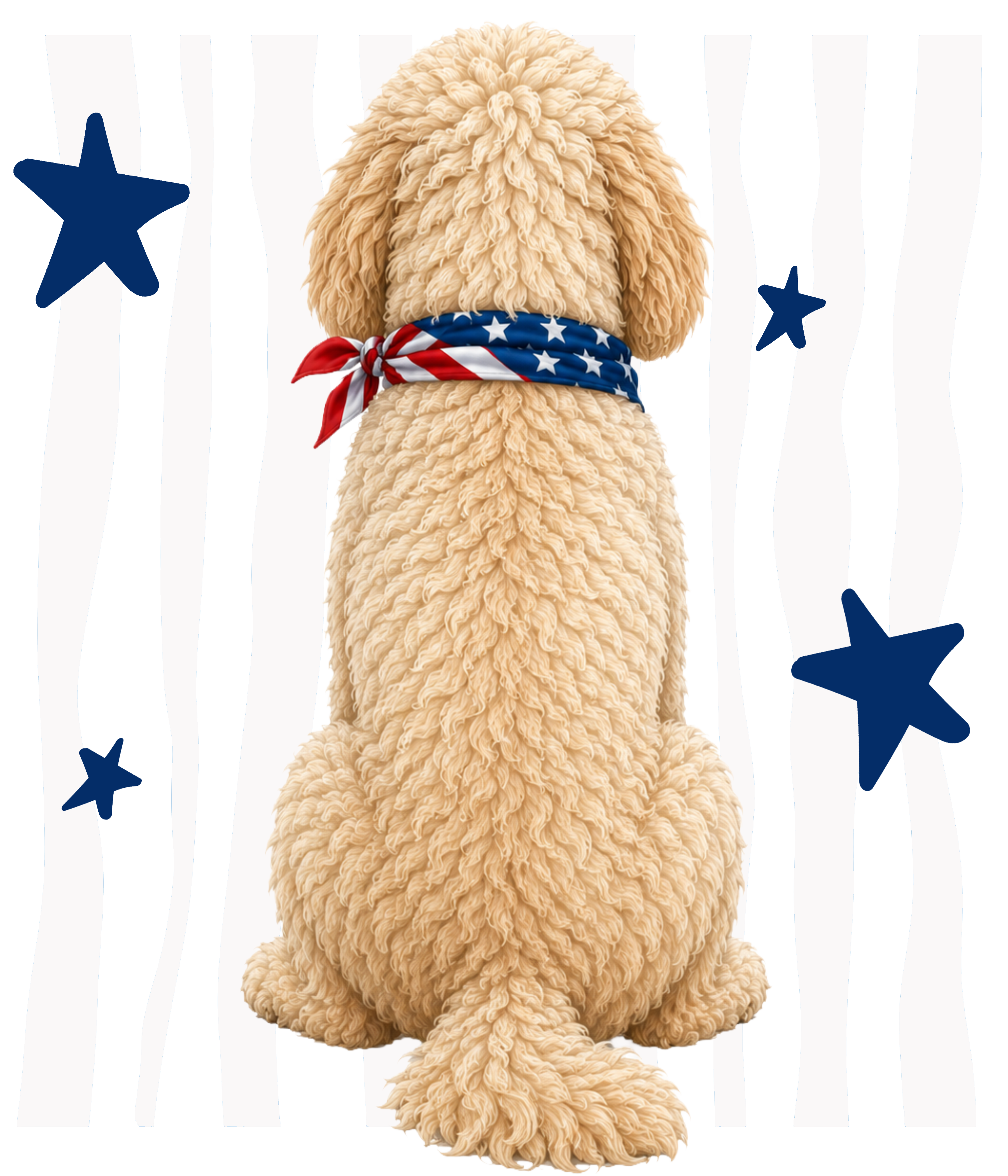 Randomness 742 - Golden Ddodle Back Usa
