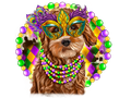 Mardi Gras 756 - Mardigrasdog 2
