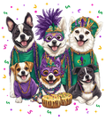 Mardi Gras 889 - Or 17012025 Vtn Dog Mardi Gras