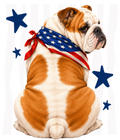 Randomness 409 - Bulldog Patriotic Back