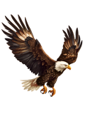 Christian 318 - Holy Spirit Eagle 1