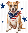 Randomness 1326 - Pitpet Usa Front