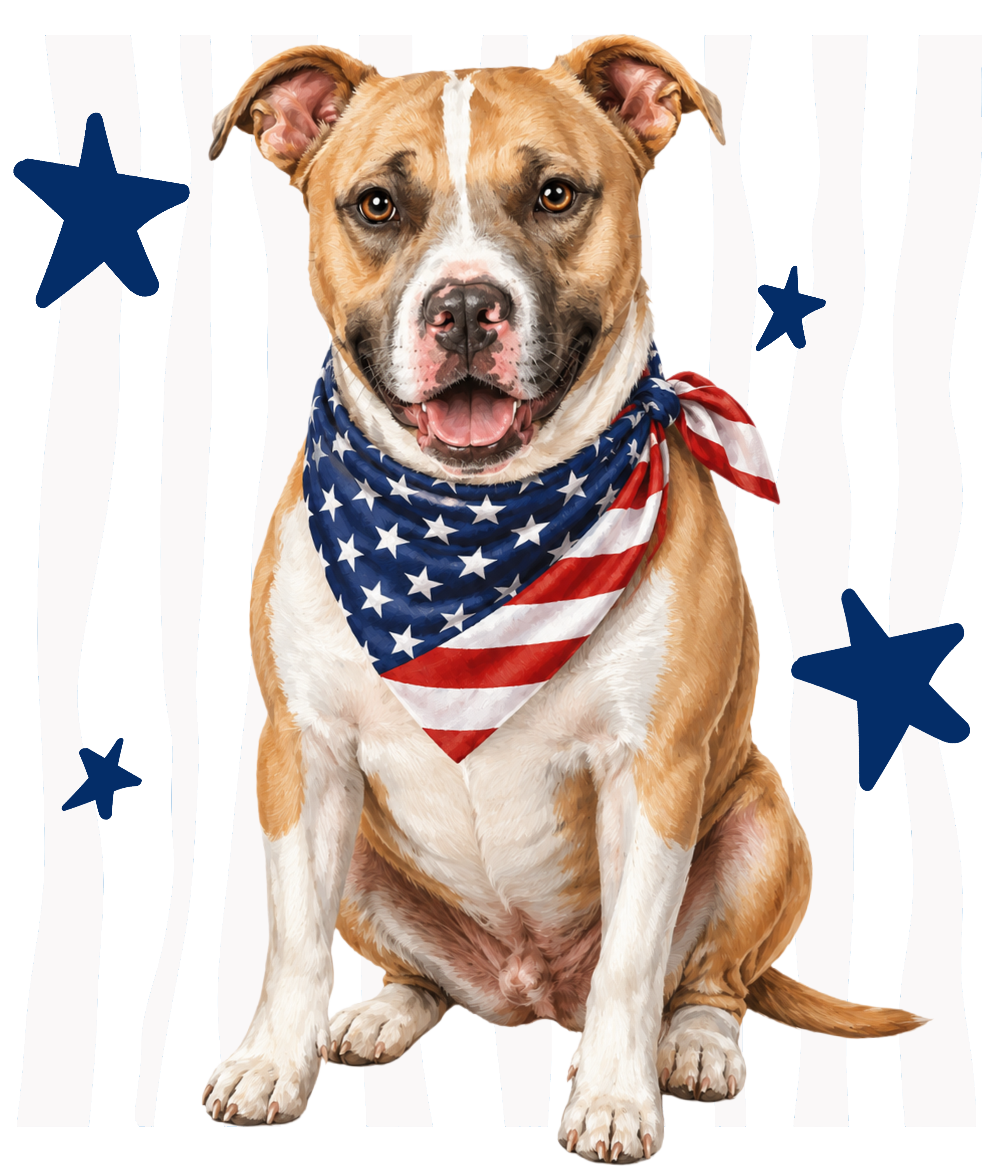 Randomness 1326 - Pitpet Usa Front