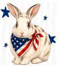 Randomness 412 - Bunny Front