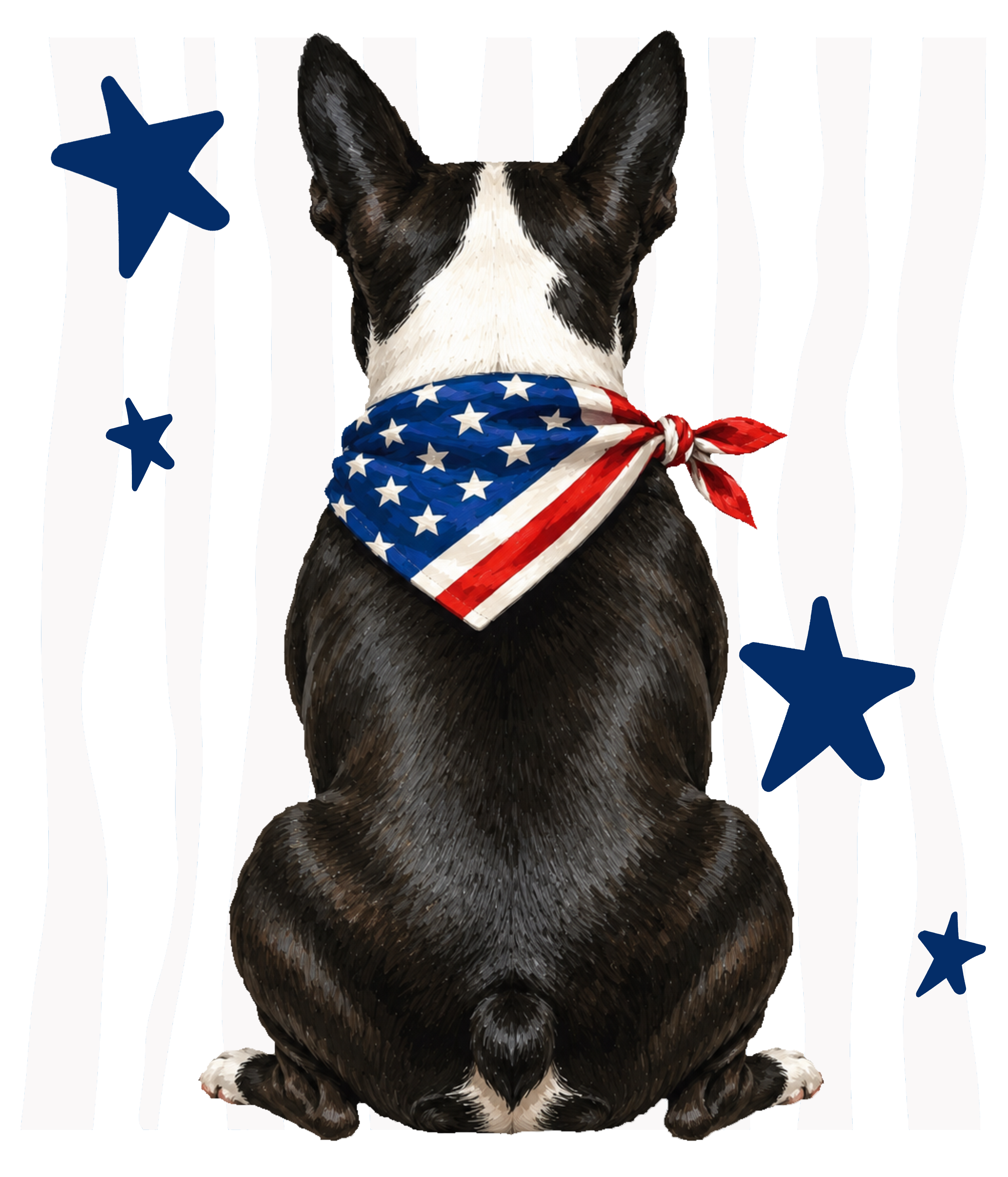 Randomness 372 - Boston Terrier Back Usa