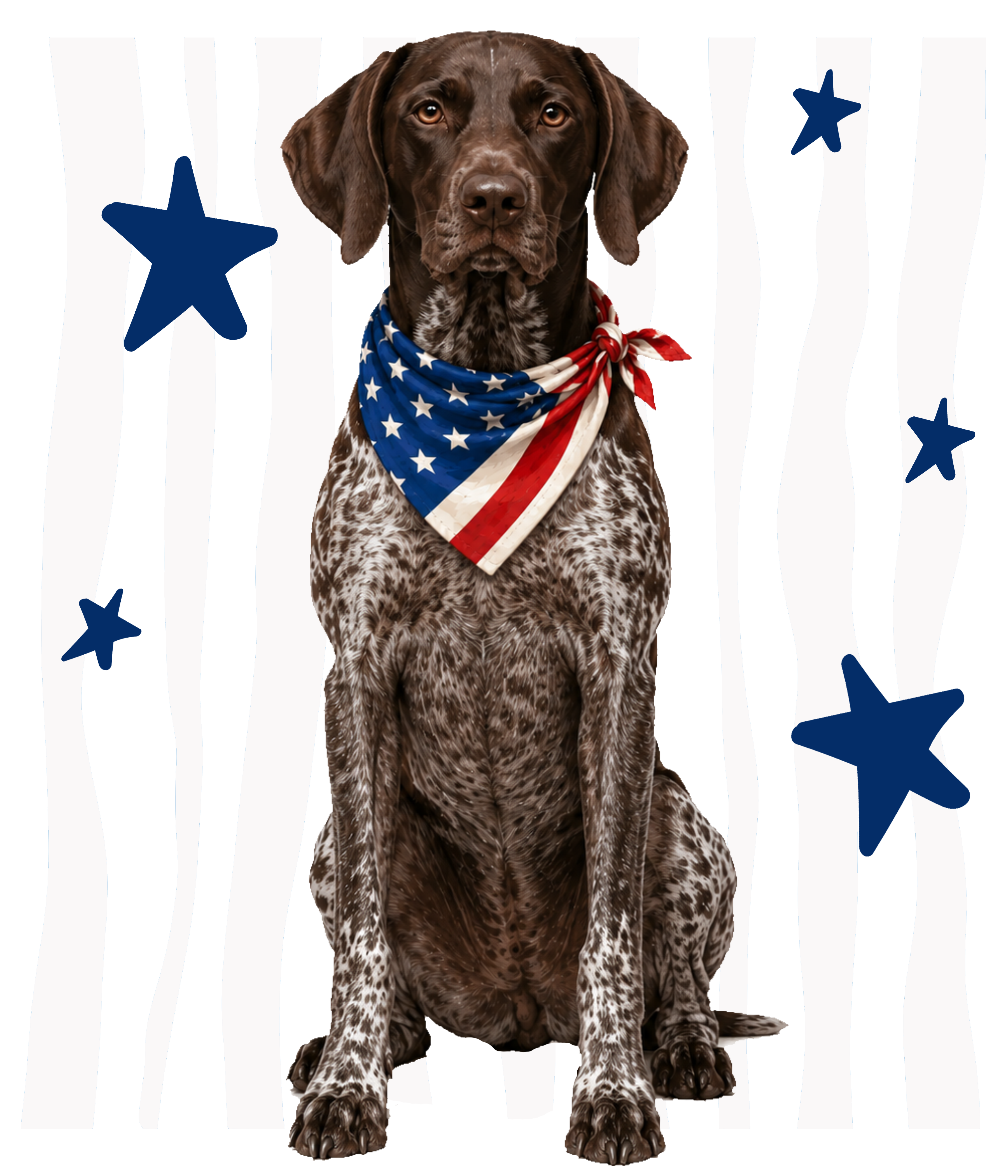Randomness 802 - Gsp Front Usa