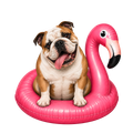 Randomness 615 - English Bulldog Float