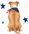 Randomness 1319 - Pit Pet Backc Usa