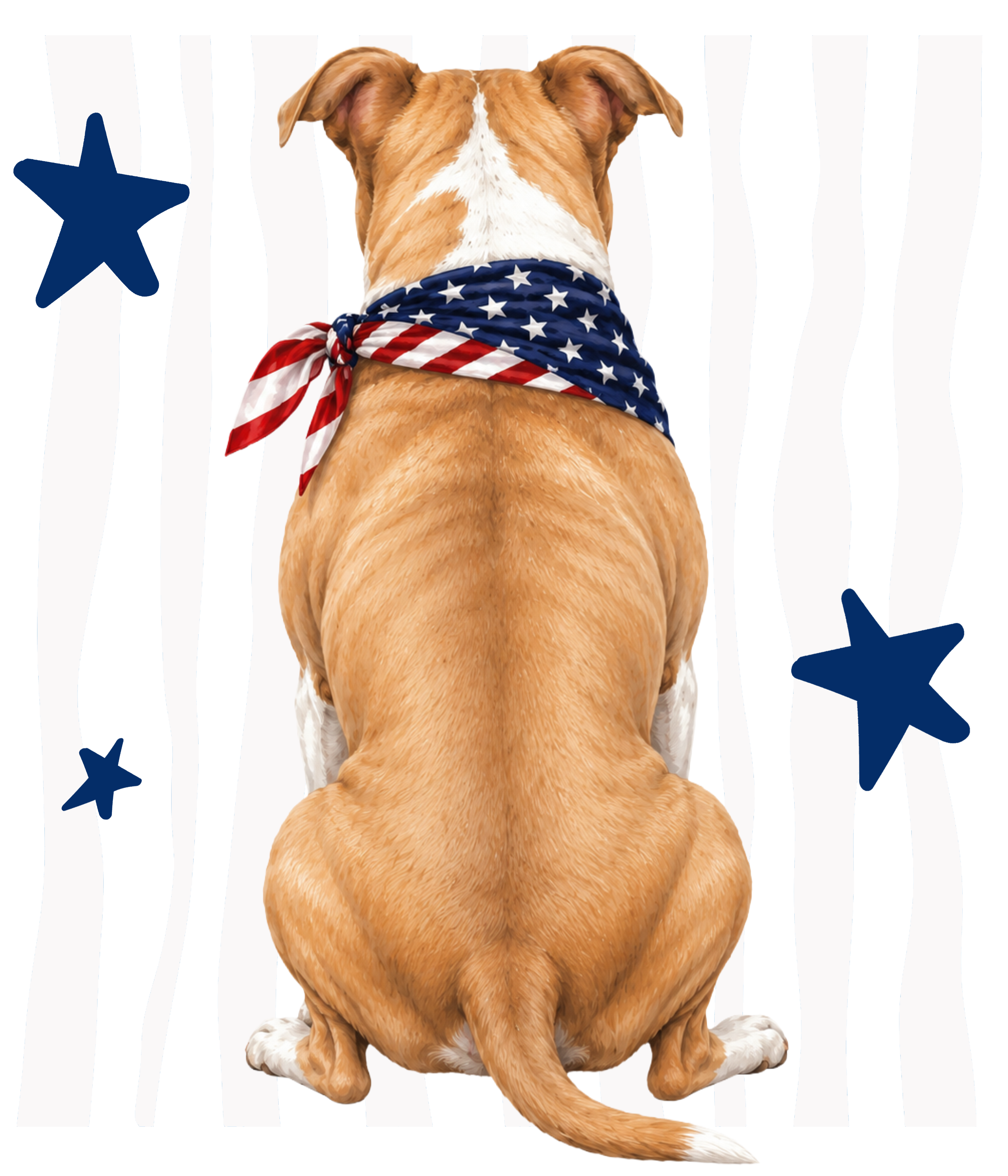 Randomness 1319 - Pit Pet Backc Usa