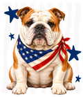 Randomness 410 - Bulldog Usa Front