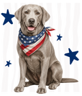 Randomness 1529 - Silver Lab Front