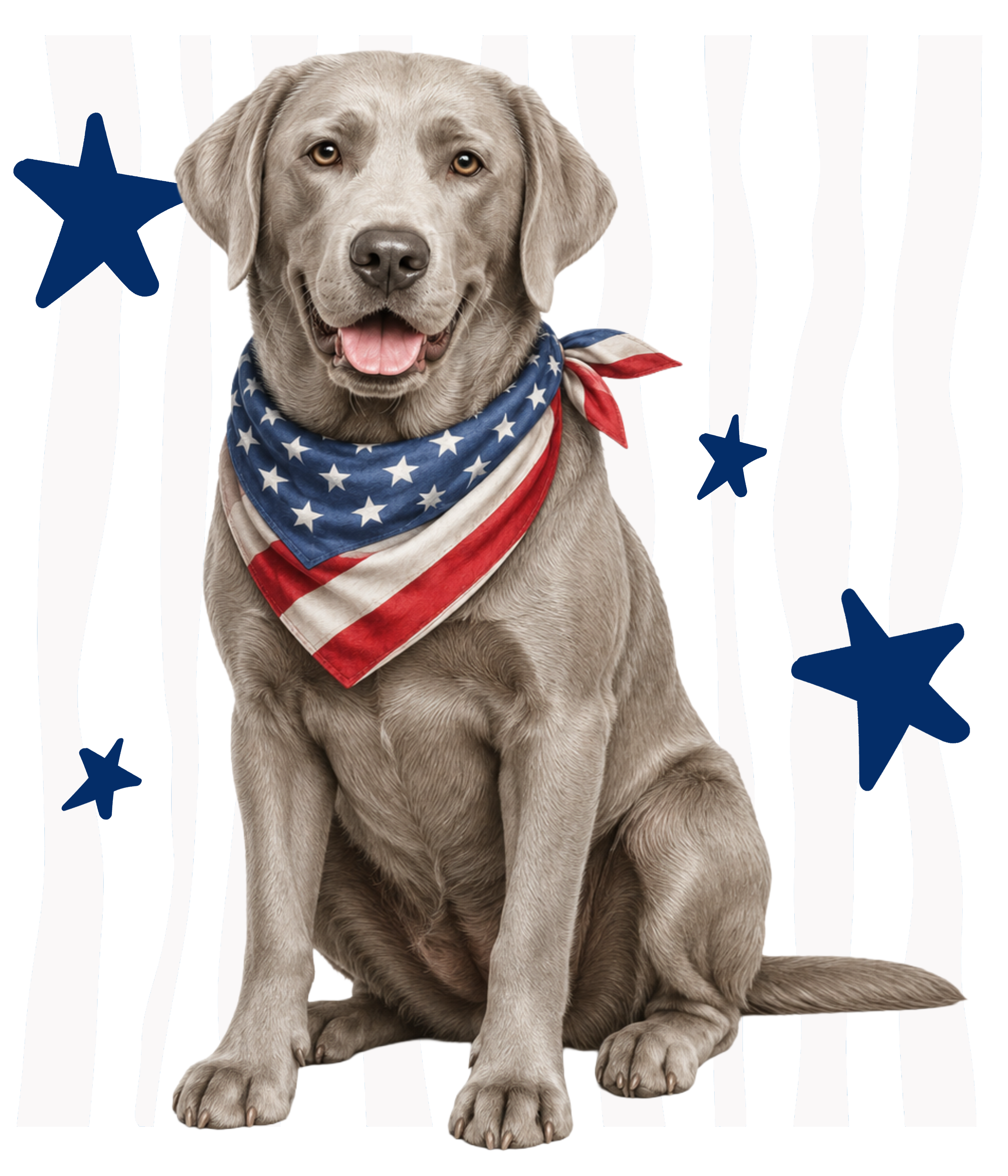 Randomness 1529 - Silver Lab Front