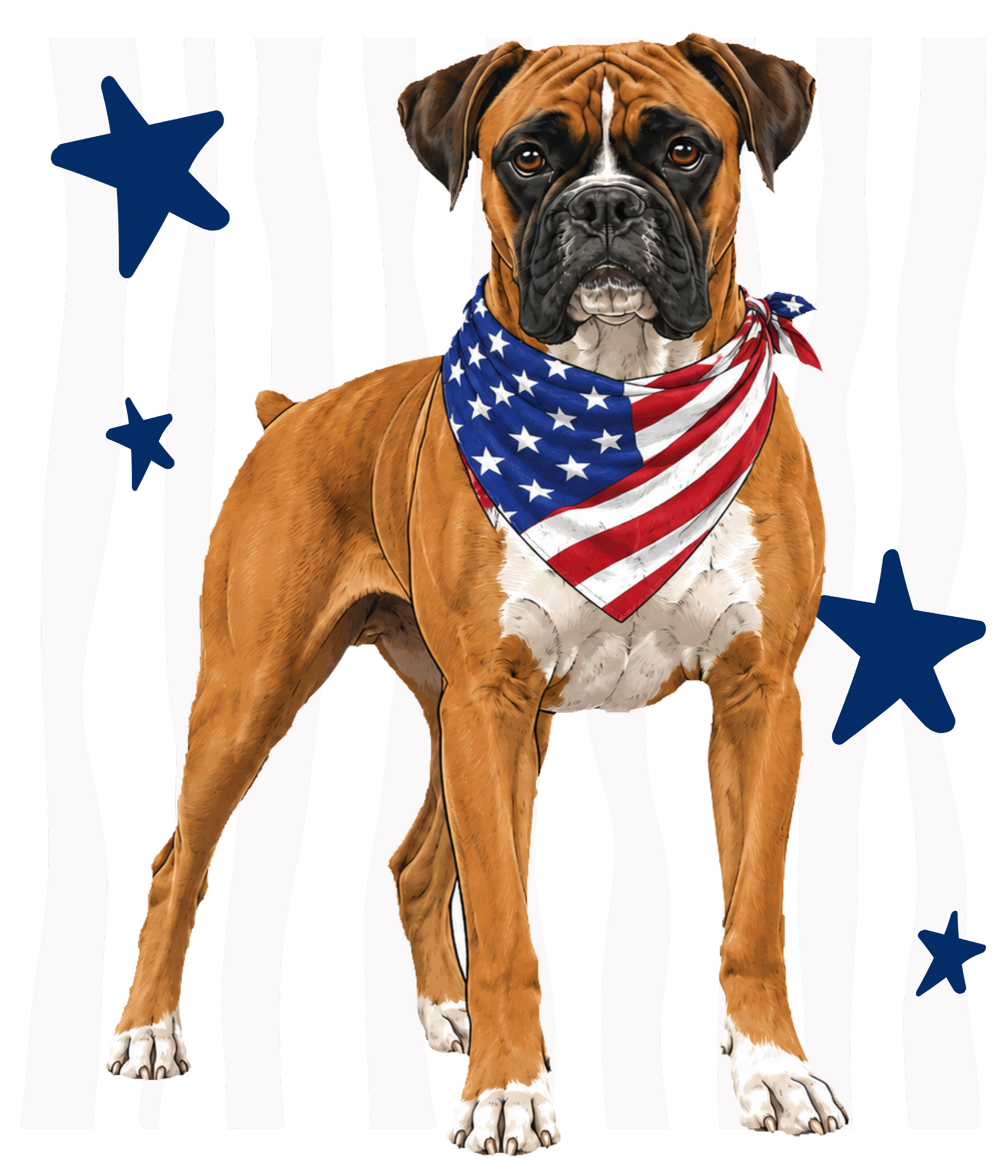 Randomness 378 - Boxer Usa Front