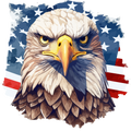 4th of July 10 - 100 (36)