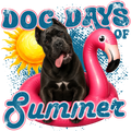 Randomness 564 - Dog Days Summer Cane Corso
