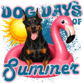 Randomness 566 - Dog Days Summer Doberman