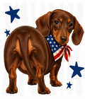 Randomness 1775 - Weiner Dog Brown Back Usa