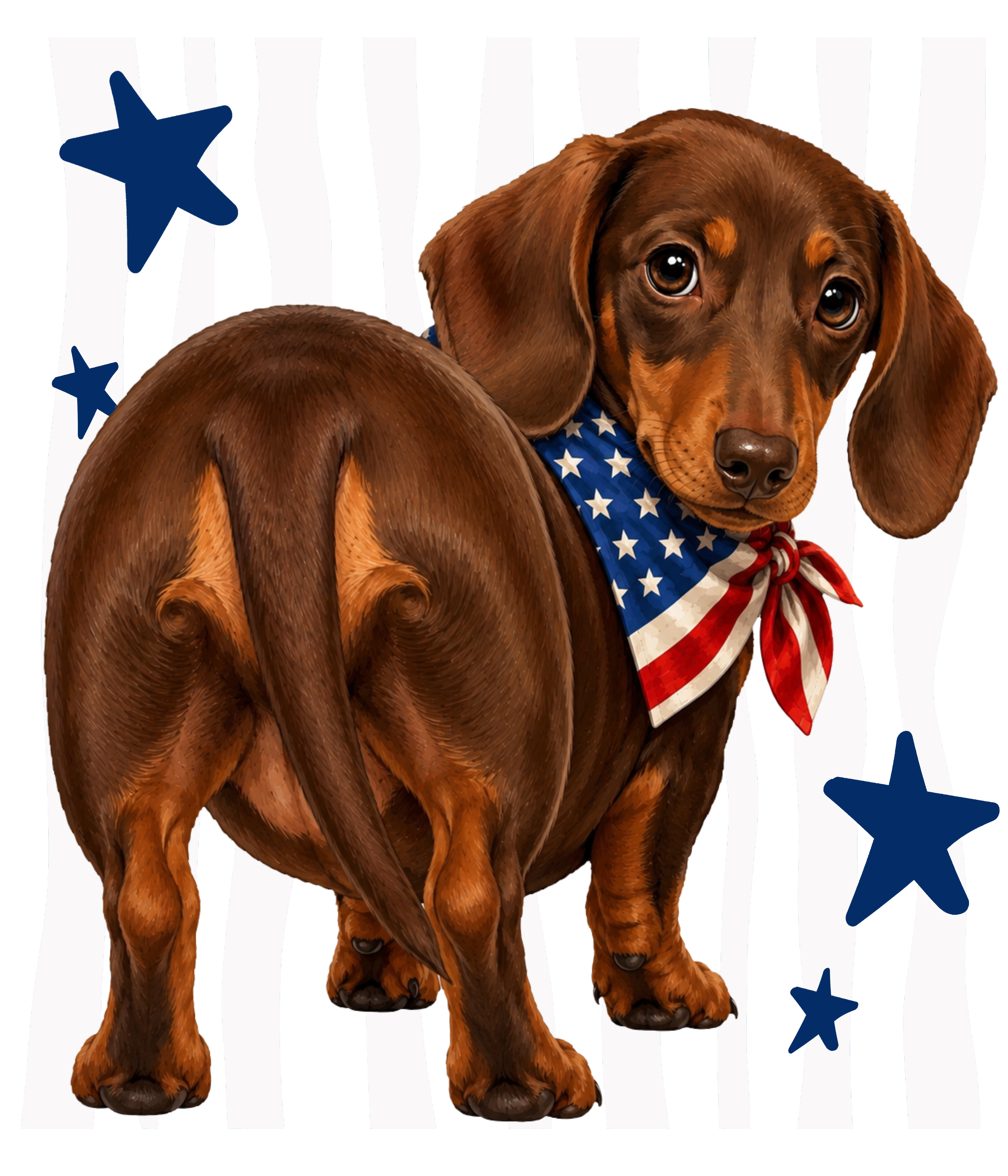 Randomness 1775 - Weiner Dog Brown Back Usa