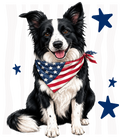 Randomness 469 - Collie Front Usa