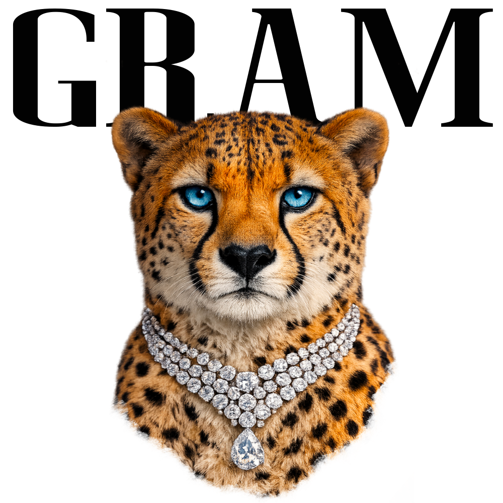 Randomness 754 - Gram Cheetah