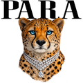 Randomness 1288 - Para Cheetah