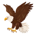 Randomness 592 - Eagle Glitter