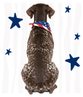 Randomness 800 - Gsp Back Usa
