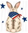 Randomness 411 - Bunny Back