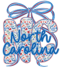 4th of July 413 - Or 02062025 Nhuy Coquette Bow North Carolina Nc America 4th Of July